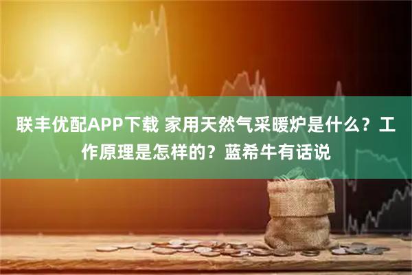 联丰优配APP下载 家用天然气采暖炉是什么？工作原理是怎样的？蓝希牛有话说