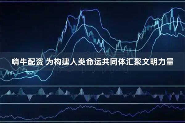 嗨牛配资 为构建人类命运共同体汇聚文明力量