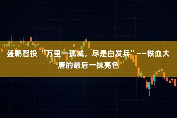 盛鹏智投 “万里一孤城，尽是白发兵”——铁血大唐的最后一抹亮色