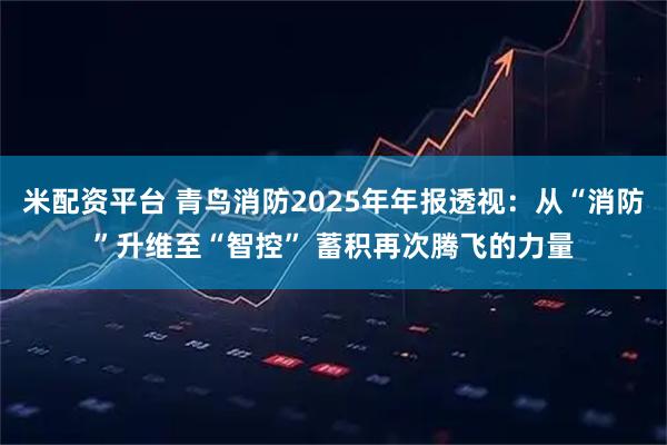 米配资平台 青鸟消防2025年年报透视:从“消防”升维至“智控” 蓄积再次腾飞的力量