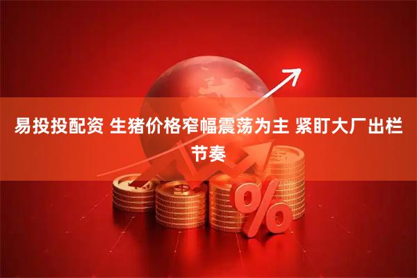 易投投配资 生猪价格窄幅震荡为主 紧盯大厂出栏节奏